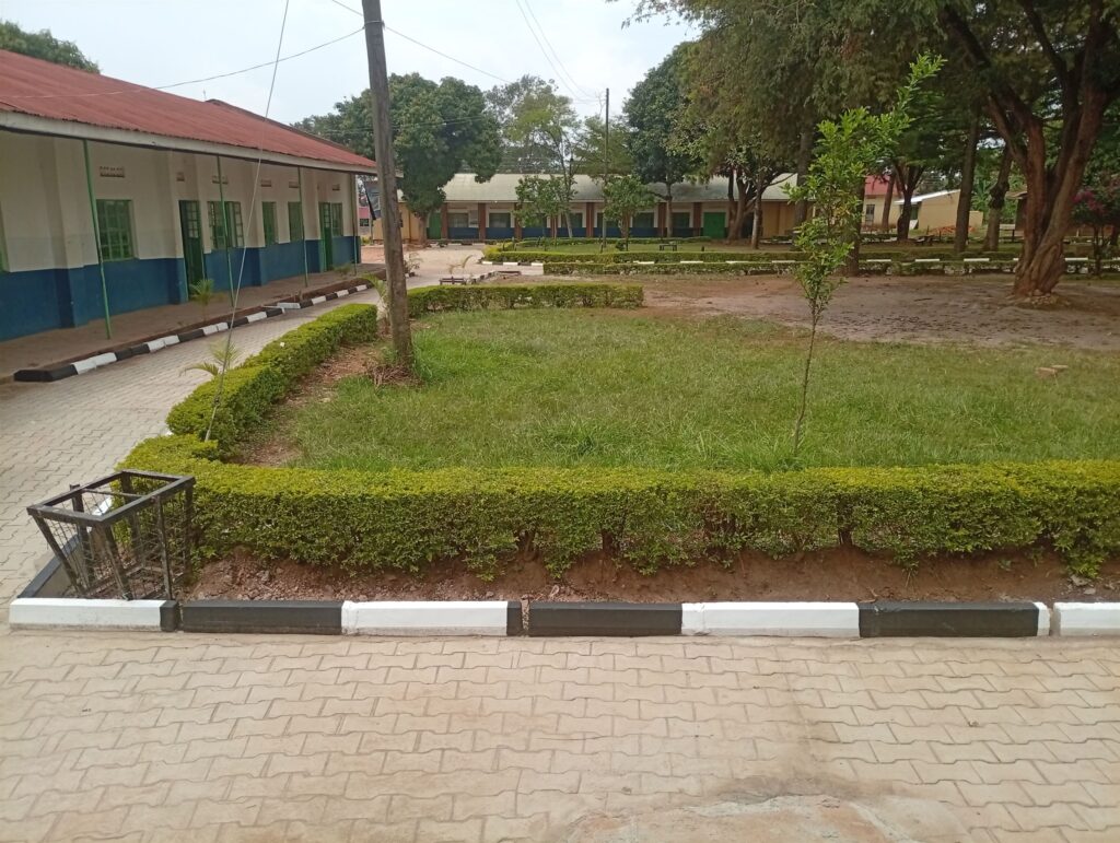 Lubega Plot